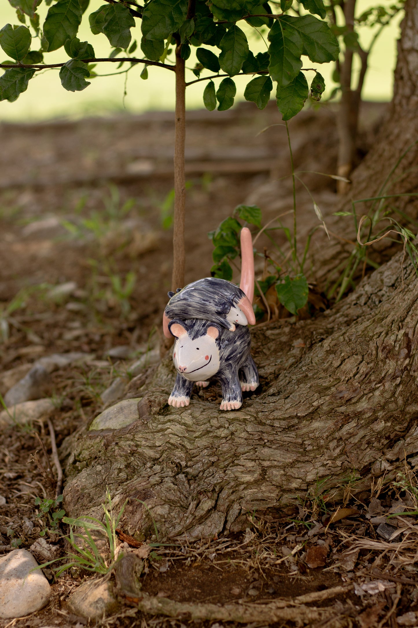 Tlacuache "Mother's Day" | 3 Tlacuaches Bebés