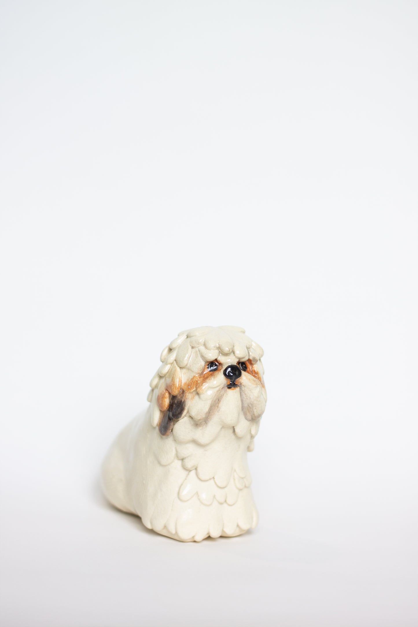 Shih-Tzu