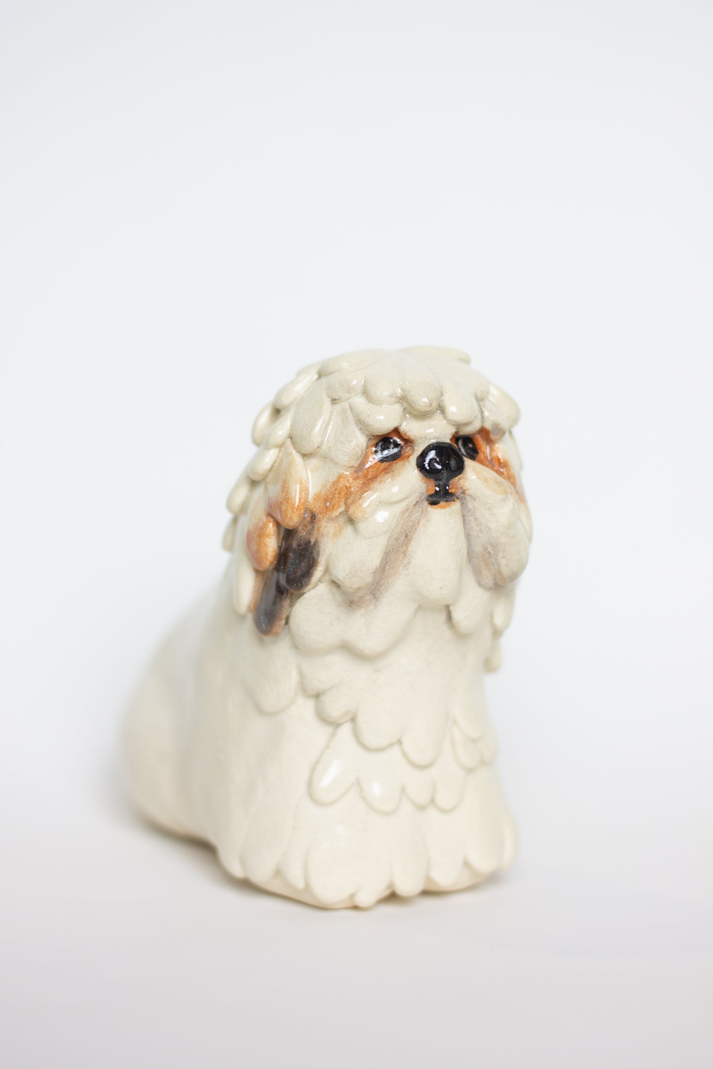 Shih-Tzu