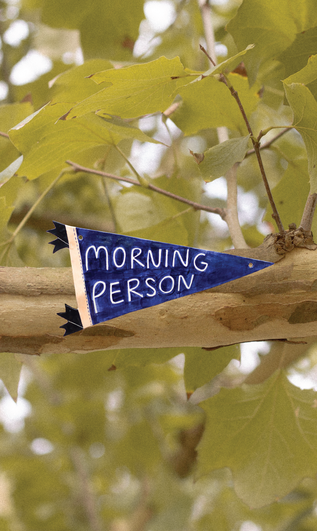 Banner "Morning Person"