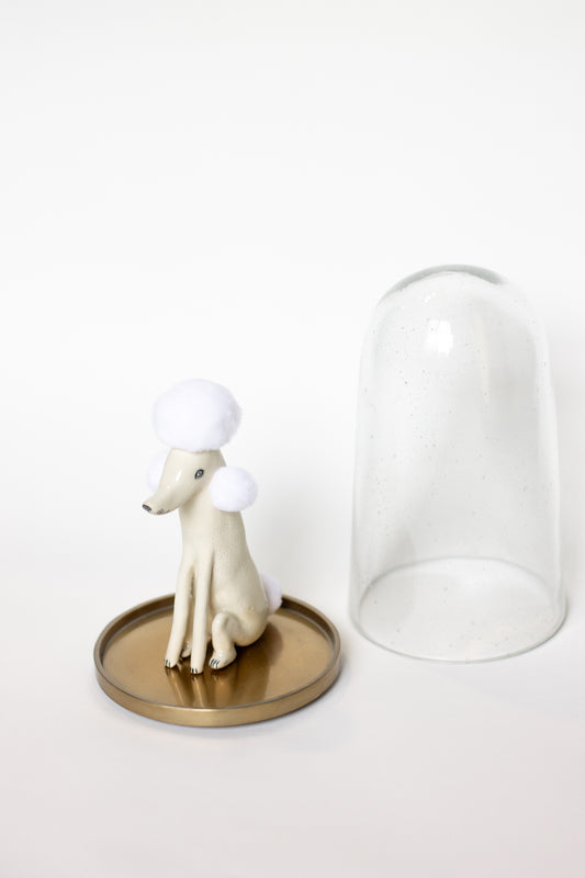 Poodle