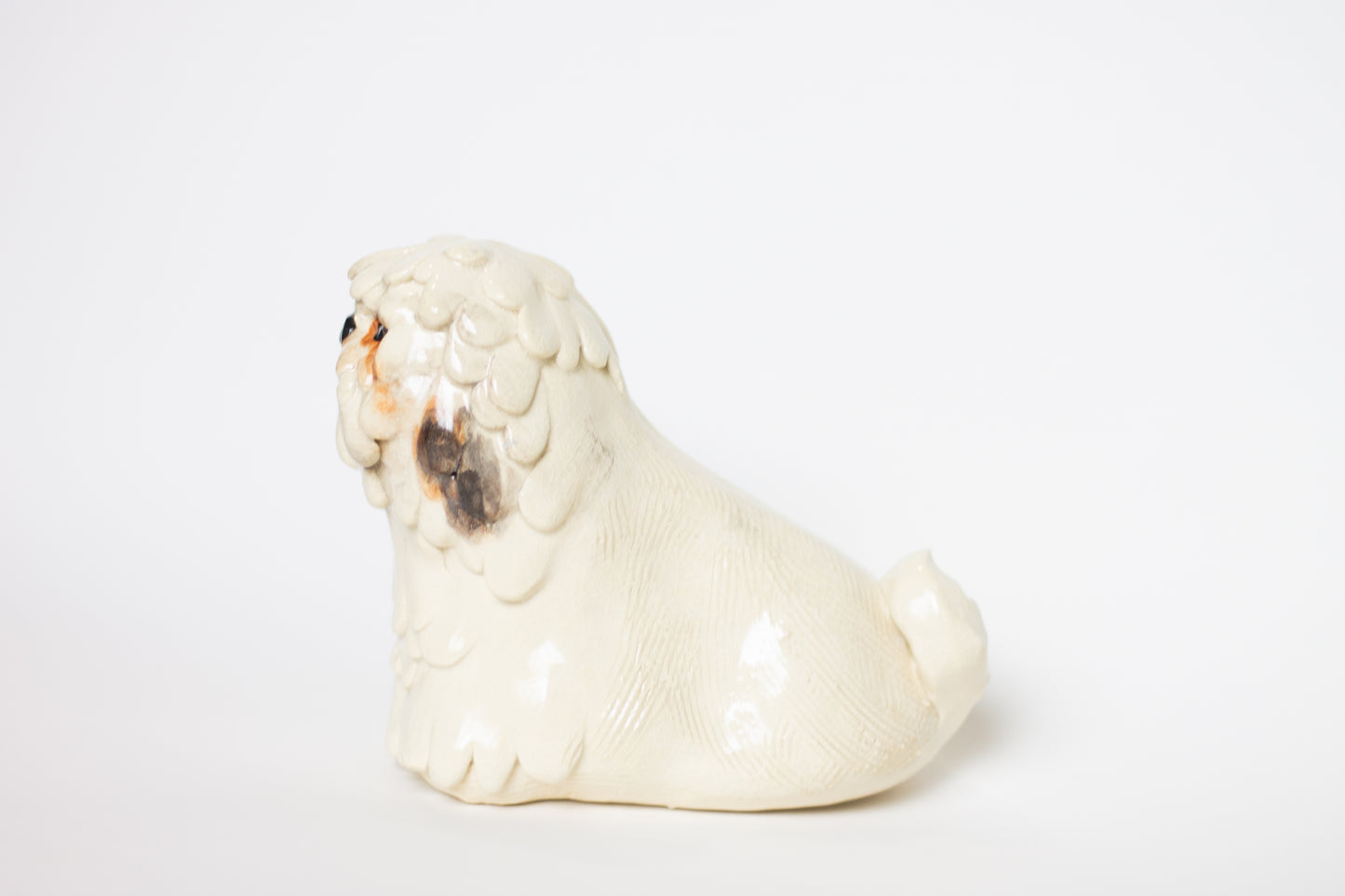 Shih-Tzu
