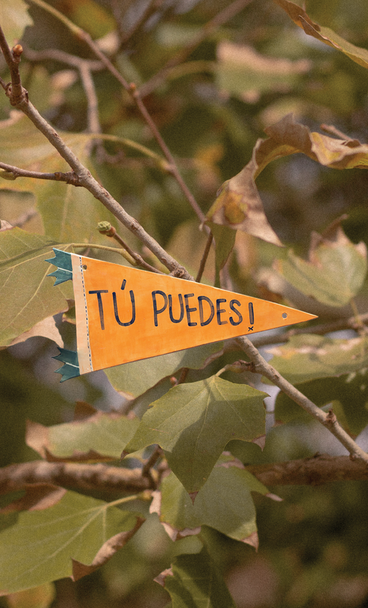 Banner "Tú Puedes"